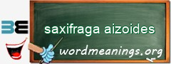 WordMeaning blackboard for saxifraga aizoides